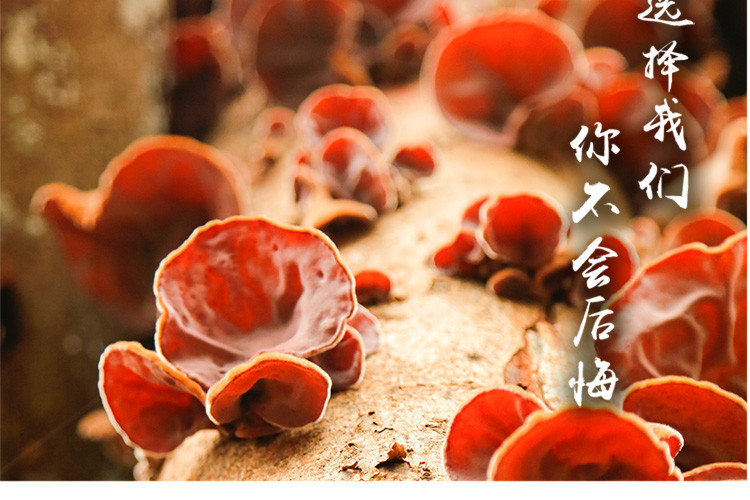 【清远振兴馆】毛木耳 250g/包 菇菌干货 食用菌 煲汤鲜甜 广东特产 林中宝