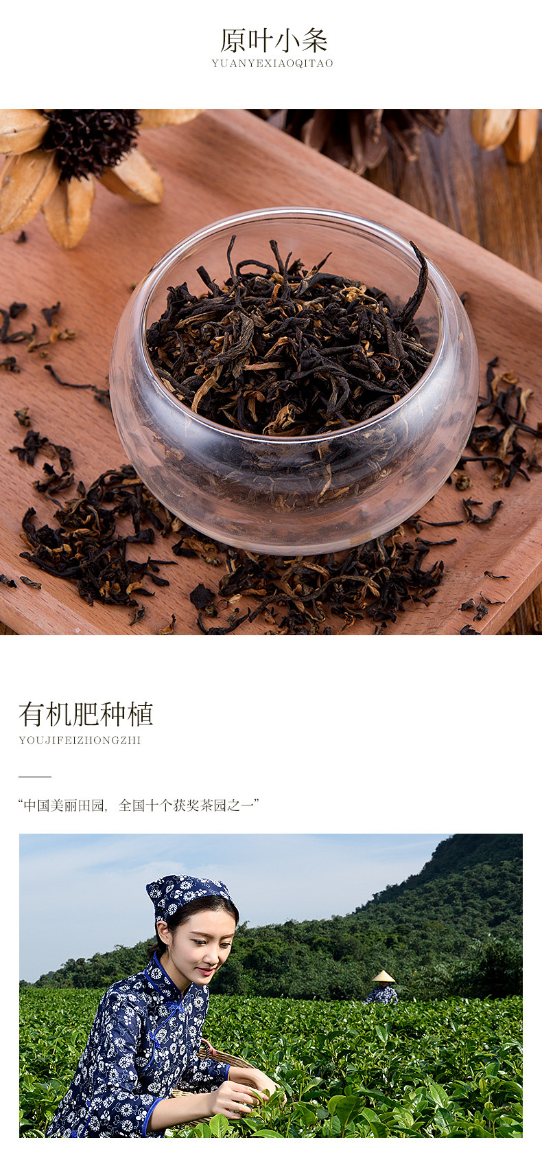 积庆里 英红九号原产地大份量自饮口粮茶袋装原叶小条300g