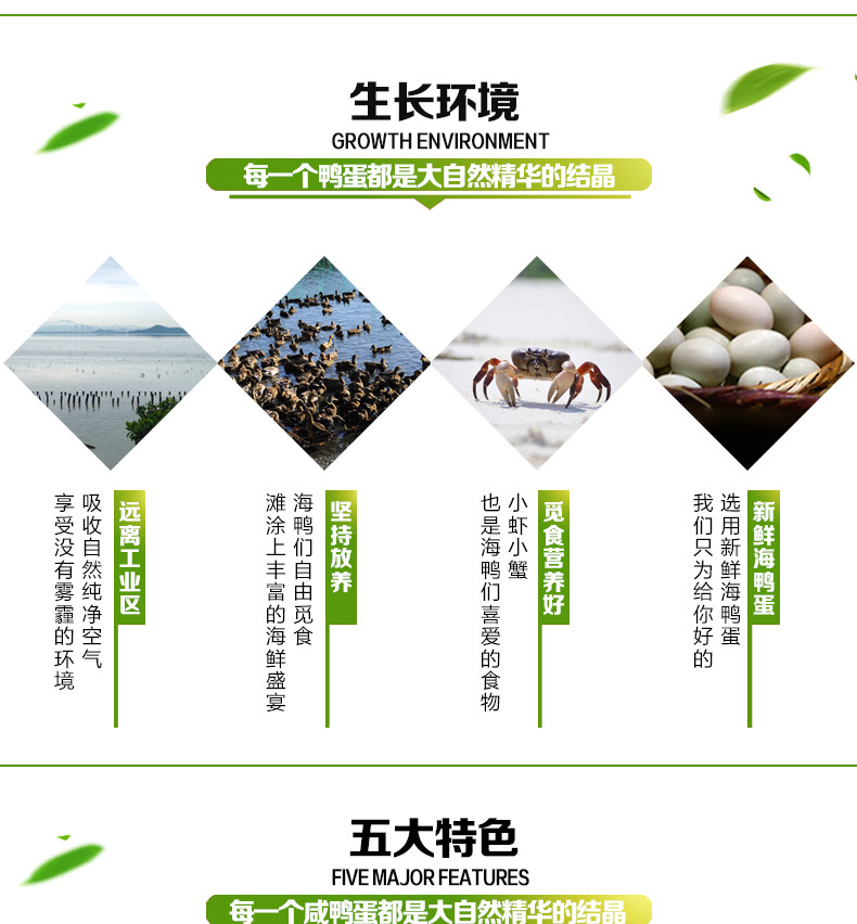 烤海鸭蛋 5只装 即食红心蛋 盈丰行咸鸭蛋烤鸭蛋散装  阳江特产 干货零食 包邮【阳江馆】【万圣节】