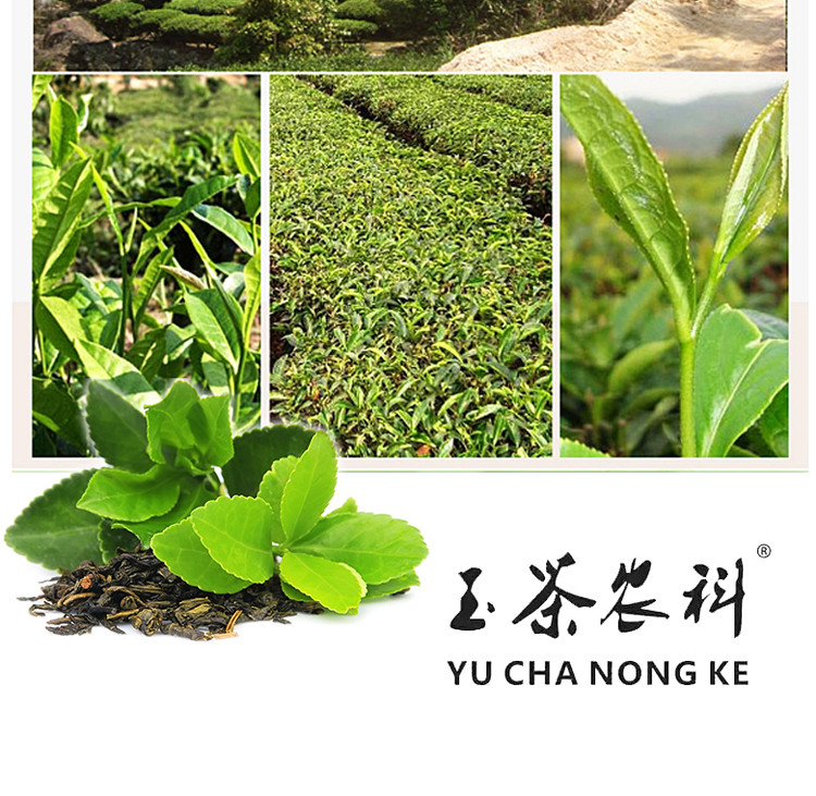 玉茶农科 【揭阳馆】玉湖炒茶70g/盒