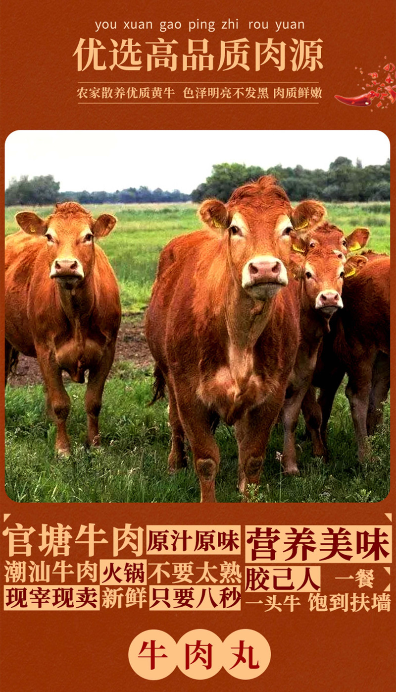 官塘兄弟 正宗老牌潮汕2斤装牛肉丸/牛筋丸【潮州振兴馆】全省包邮