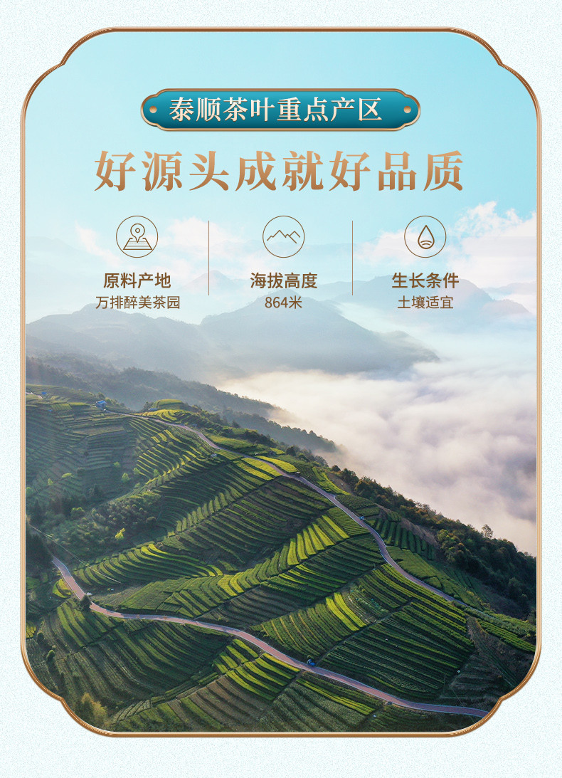 山友 顺茶小泡茶（手信）60g	提