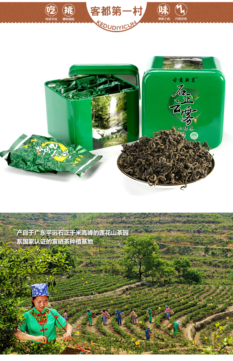 石正云雾 广东梅州平远石正云雾有机绿茶120g礼盒装 农家精选茶叶 新茶