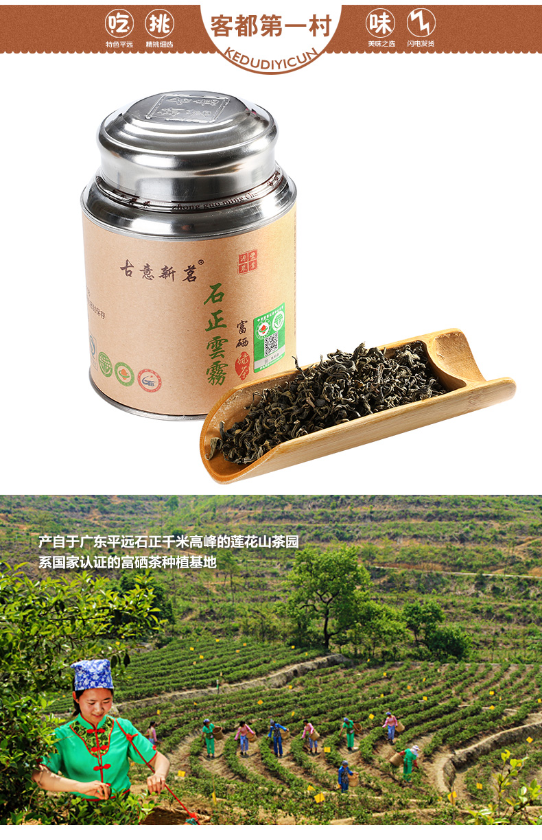 石正云雾 广东梅州平远石正云雾富硒有机绿茶300g礼盒装 农家自产精选茶叶