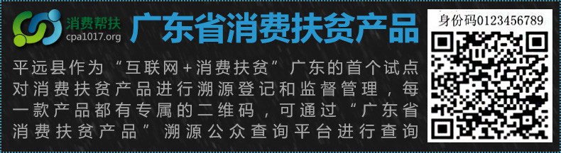 石正云雾 广东梅州平远石正云雾有机绿茶120g礼盒装 农家精选茶叶 新茶