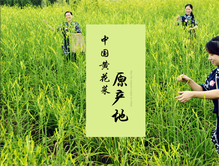 【邮惠购积分商城】湖南 衡阳市  祁东特产 有吉 黄花菜  500g