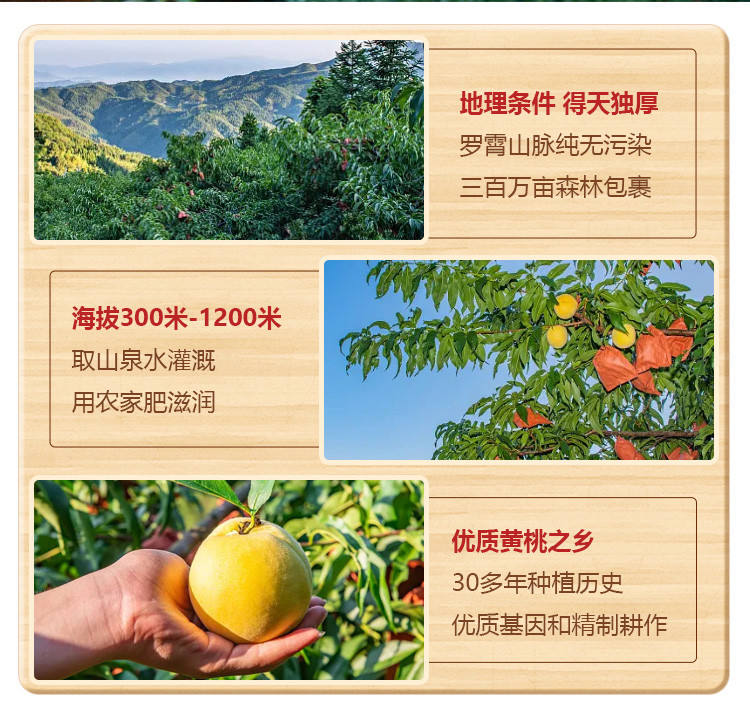 农家自产 【湖南株洲】炎陵黄桃