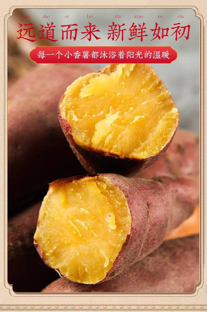 宏裕 【江山邮政】小香薯5斤装