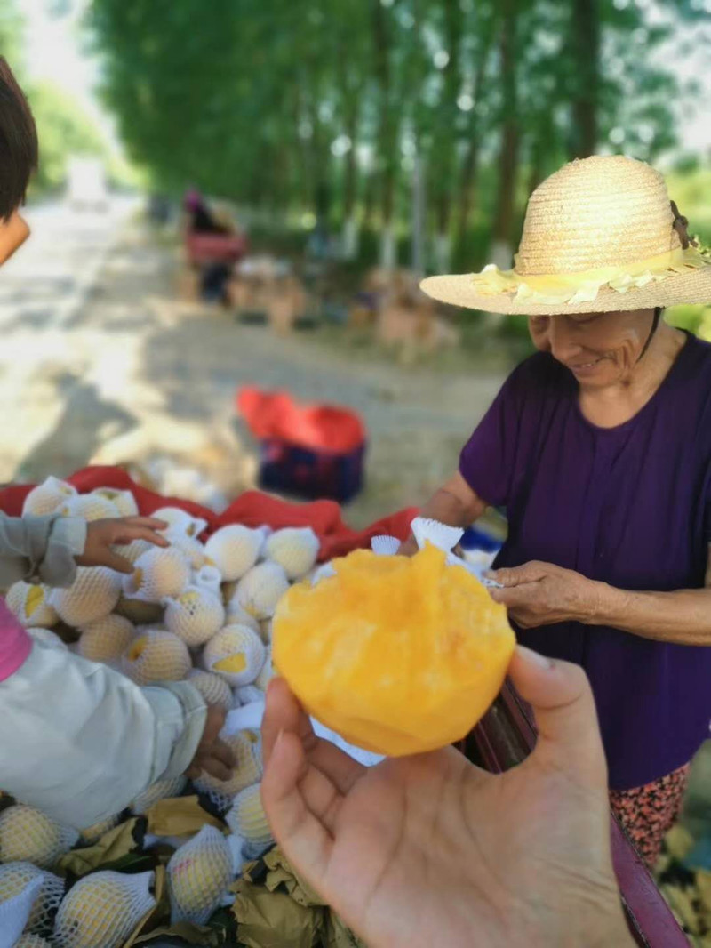 【秒杀活动】虾乡桃 总口特产锦绣黄桃 5斤新鲜水果现摘现发精品黄肉大桃子 （预售）