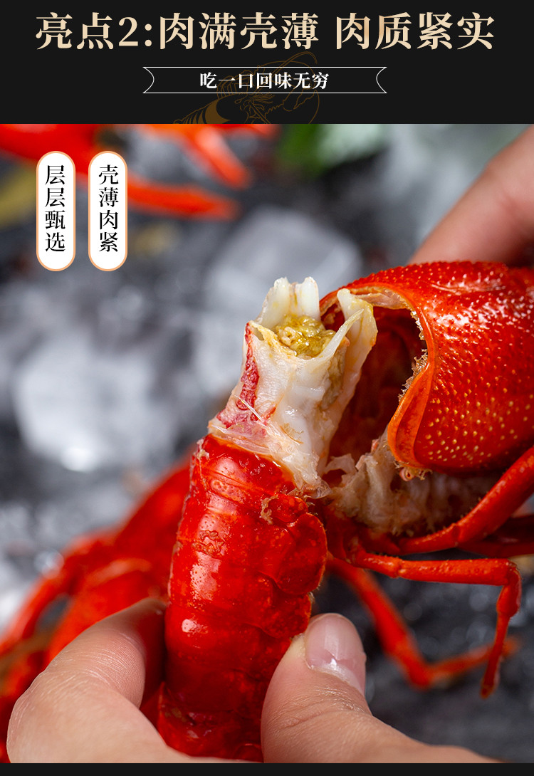 楚虾王 【湖北邮政】楚虾王小龙虾整虾 600g（6-8钱）精品虾 麻辣+蒜蓉 2盒装