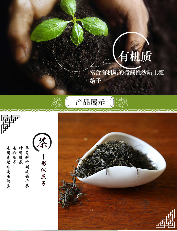 昭陵 绿芝 高级袋装绿茶