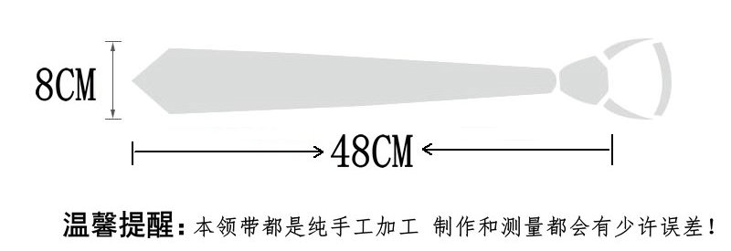 男士正装商务新郎结婚学生女职业衬衫领带红黑蓝色方便拉链式懒人