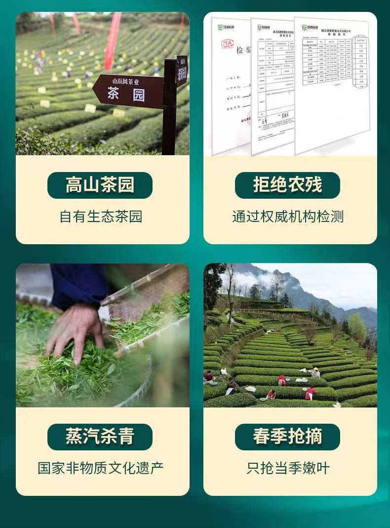 问玄 明睿绿茶350克装