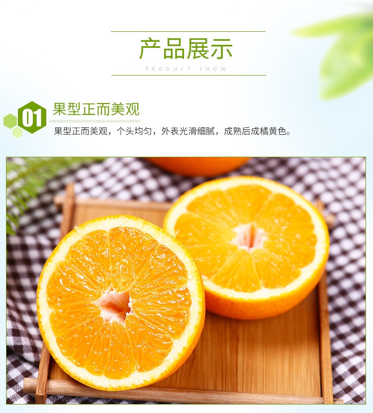 【常山胡柚】柚子 常山胡柚 连包装5斤 新鲜水果 浙江特产包邮