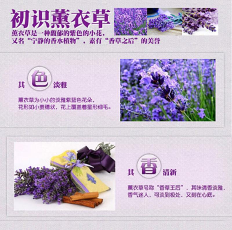 霍城馆 疆颂 薰衣草干花