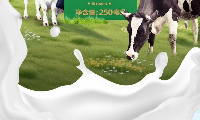 子承乳业 蛋白纯牛奶