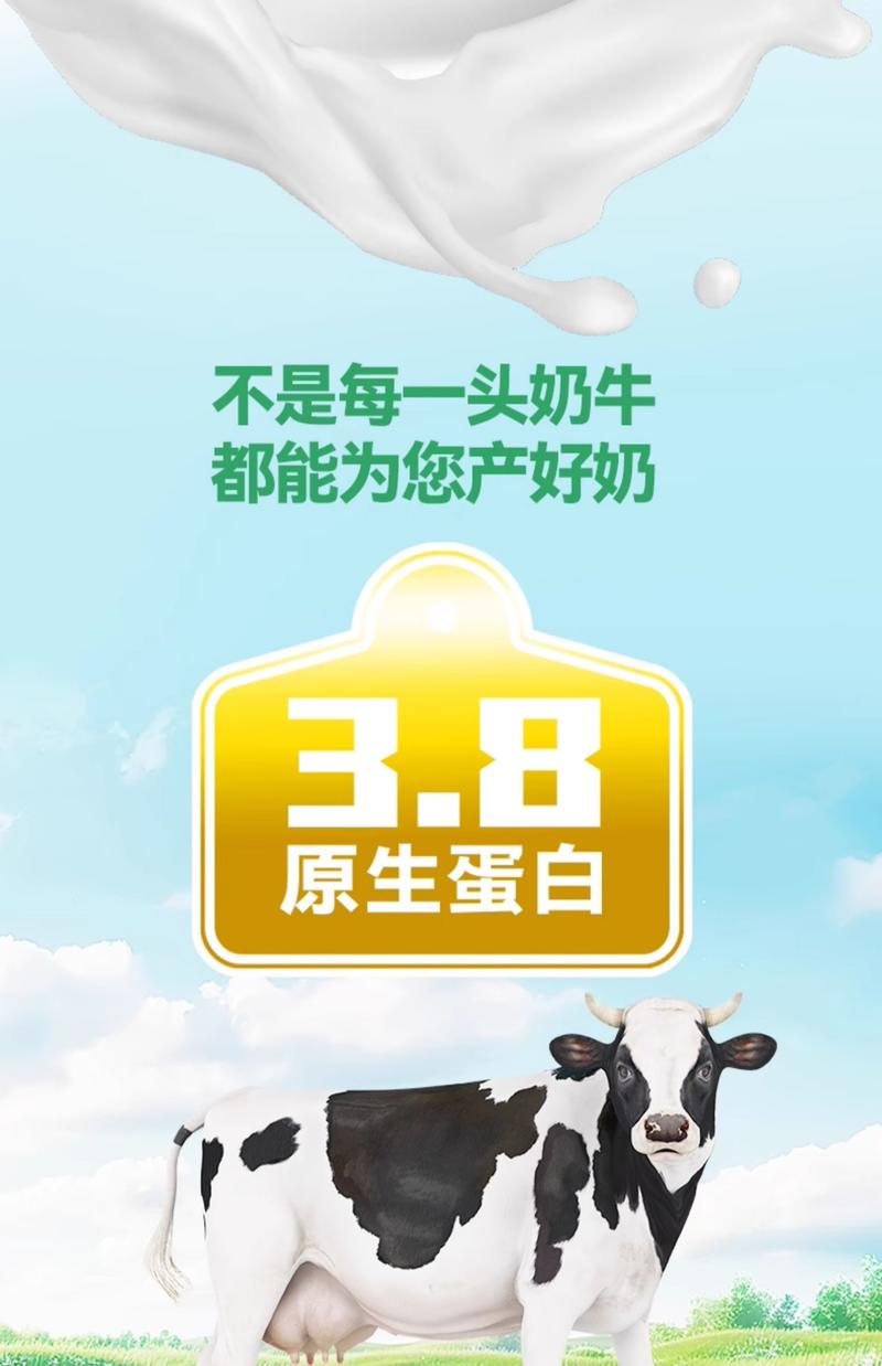 子承乳业 蛋白纯牛奶