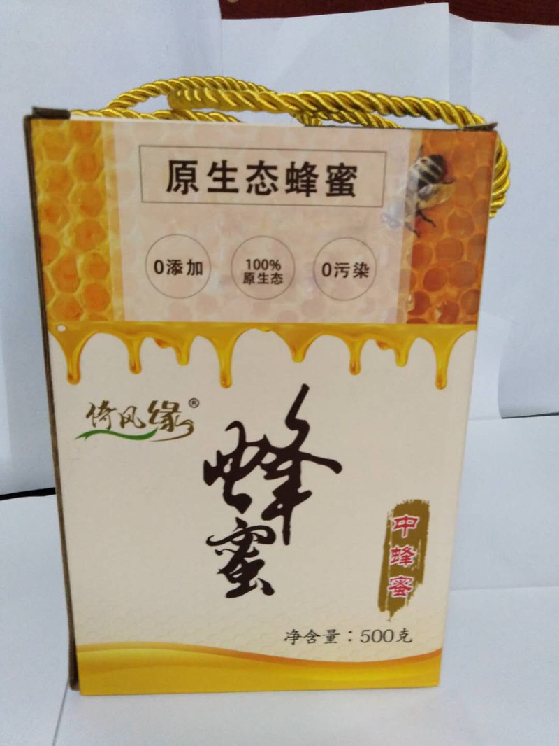 消费扶贫（桃江）中蜂蜂蜜优质蜜500g