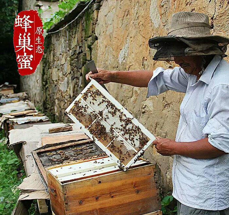 随州馆广水【邮政扶贫】巢蜜蜂蜜纯正天然农家自产蜂巢蜜野生土蜂蜜嚼着吃