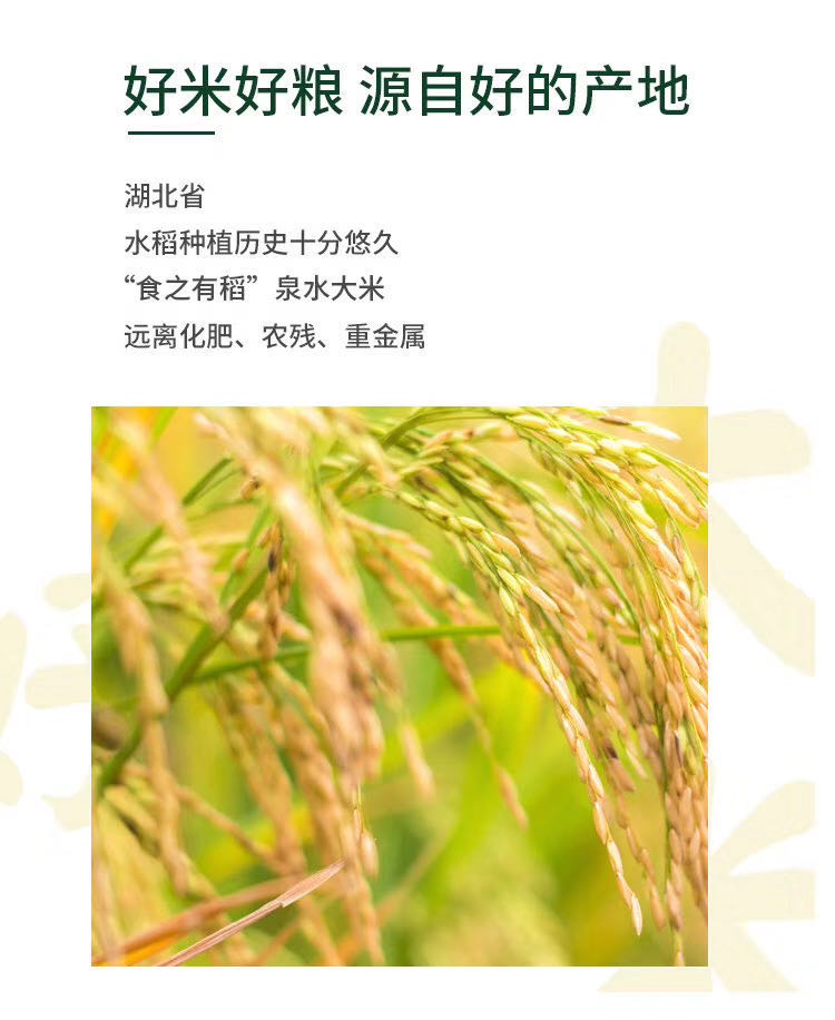 农家自产 【詹王故里】随州优稻：生态泉水米