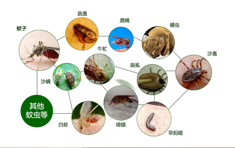 【邮政扶贫】一世缘蕲艾驱蚊露喷雾剂纯天然无刺激长效防蚊液儿童成人户内外用