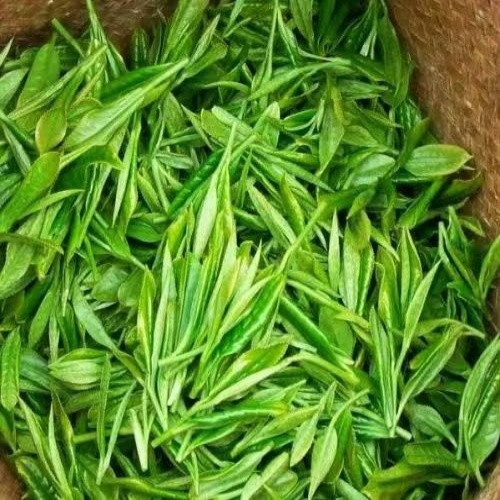 秦岭源 【丹江馆】袋装茗茶250g