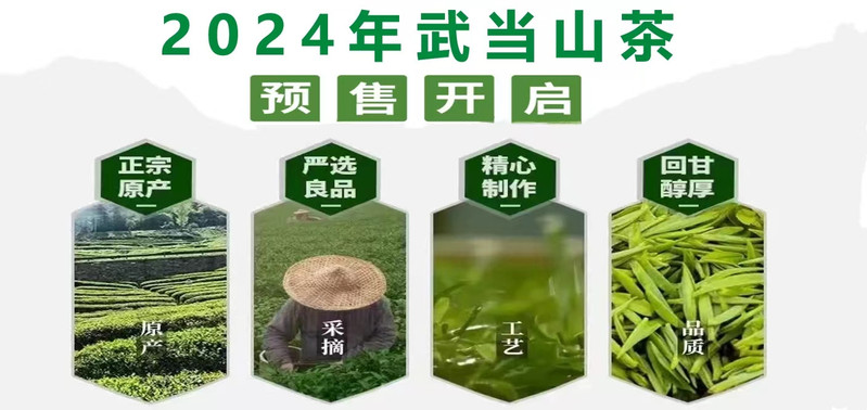 秦岭源 【丹江馆】武当道茶新茶40克