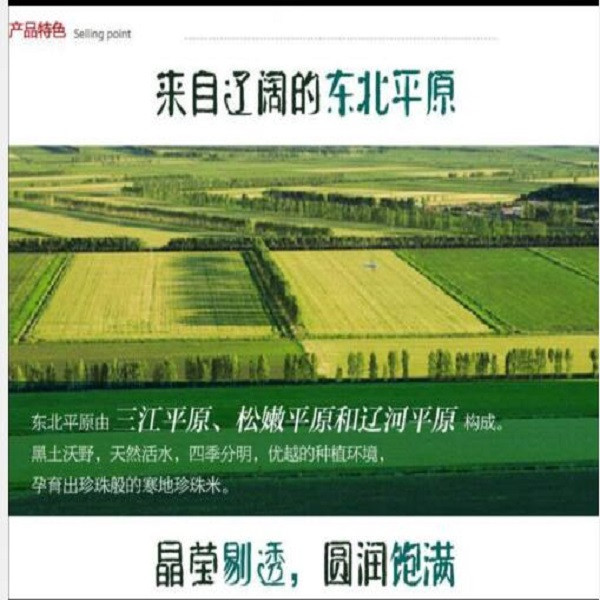 老福农 【丹江福至新春】建三江寒地珍珠米10公斤2袋组合装20公斤