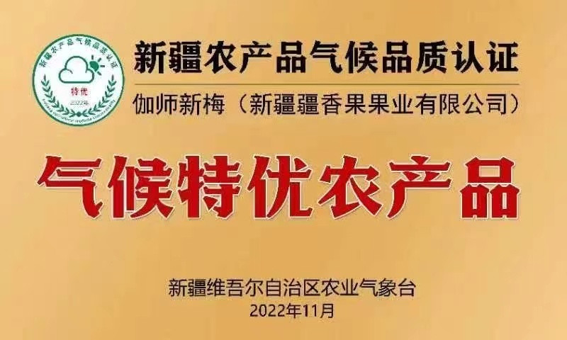 疆香果 【直播间专享】西梅干 自然风干 软糯香甜 果肉饱满