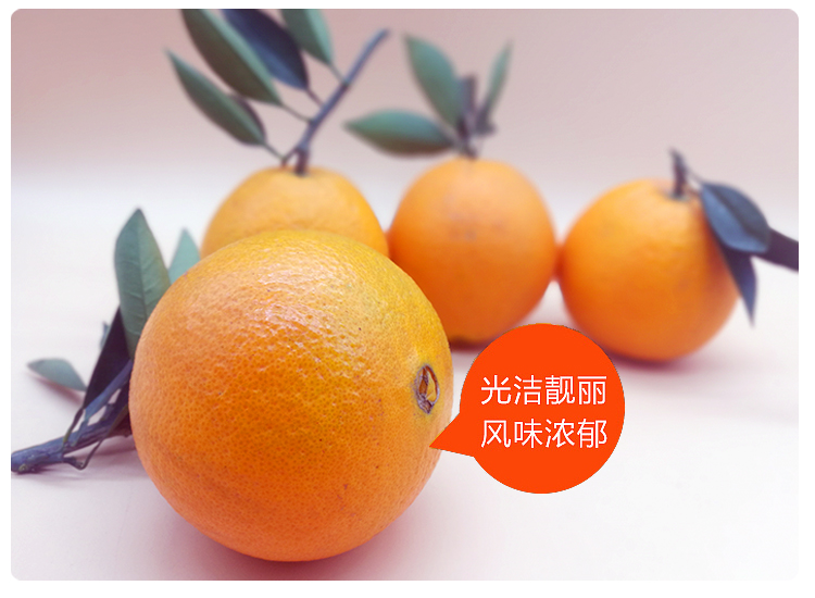 【十堰馆】湖北脐橙当季新鲜橙子10斤
