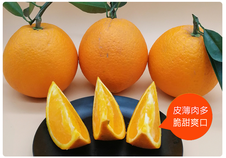 【十堰馆】湖北脐橙当季新鲜橙子10斤