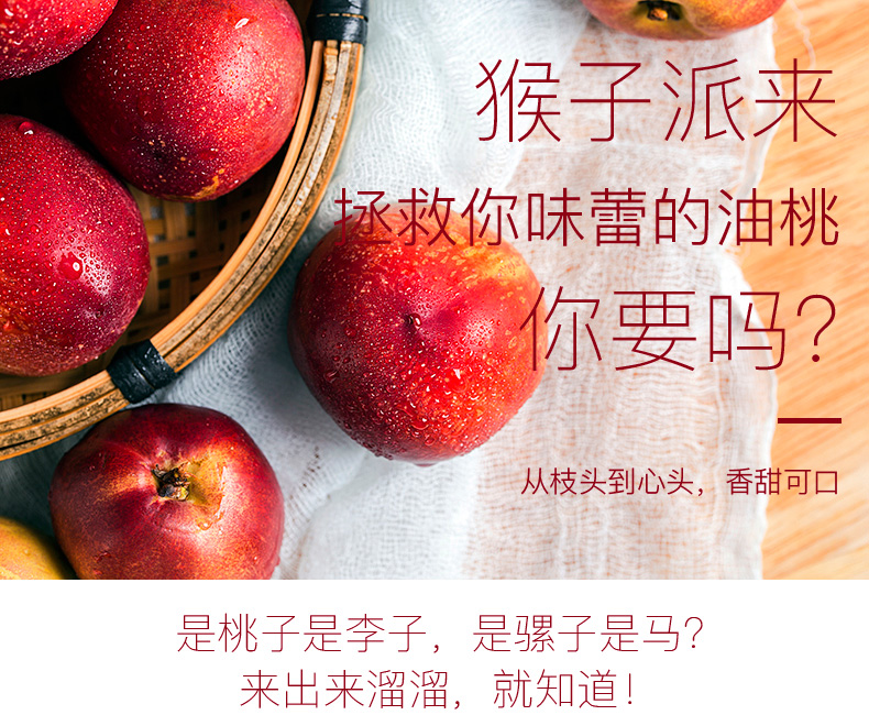 【现摘现发】桃子新鲜油桃带箱5斤 当季水果黄心蜜桃脆桃应季正季黄桃