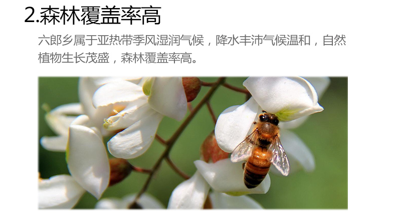 【神农蜂语 洋槐蜜】 农家自产蜂蜜500g玻璃瓶槐花蜜野生百花土蜂蜜