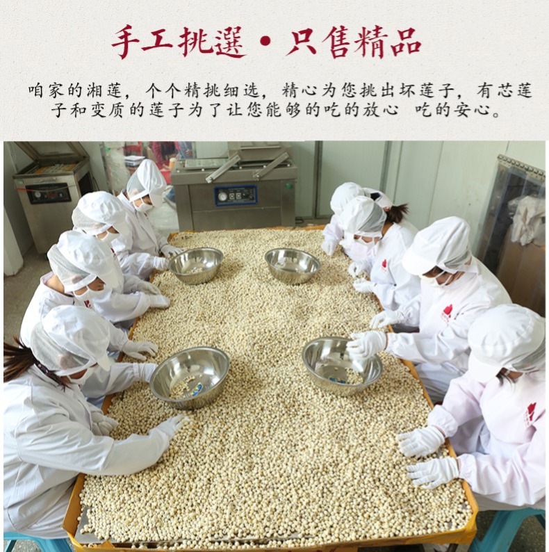 去芯湘莲500g 无心白莲子特产磨皮通心寸三莲