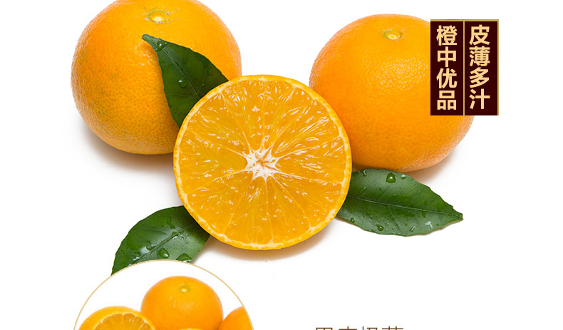 【现摘现发】蒲江爱媛38号果冻橙5斤 新鲜水果橘子手剥橙子脐橙桔子
