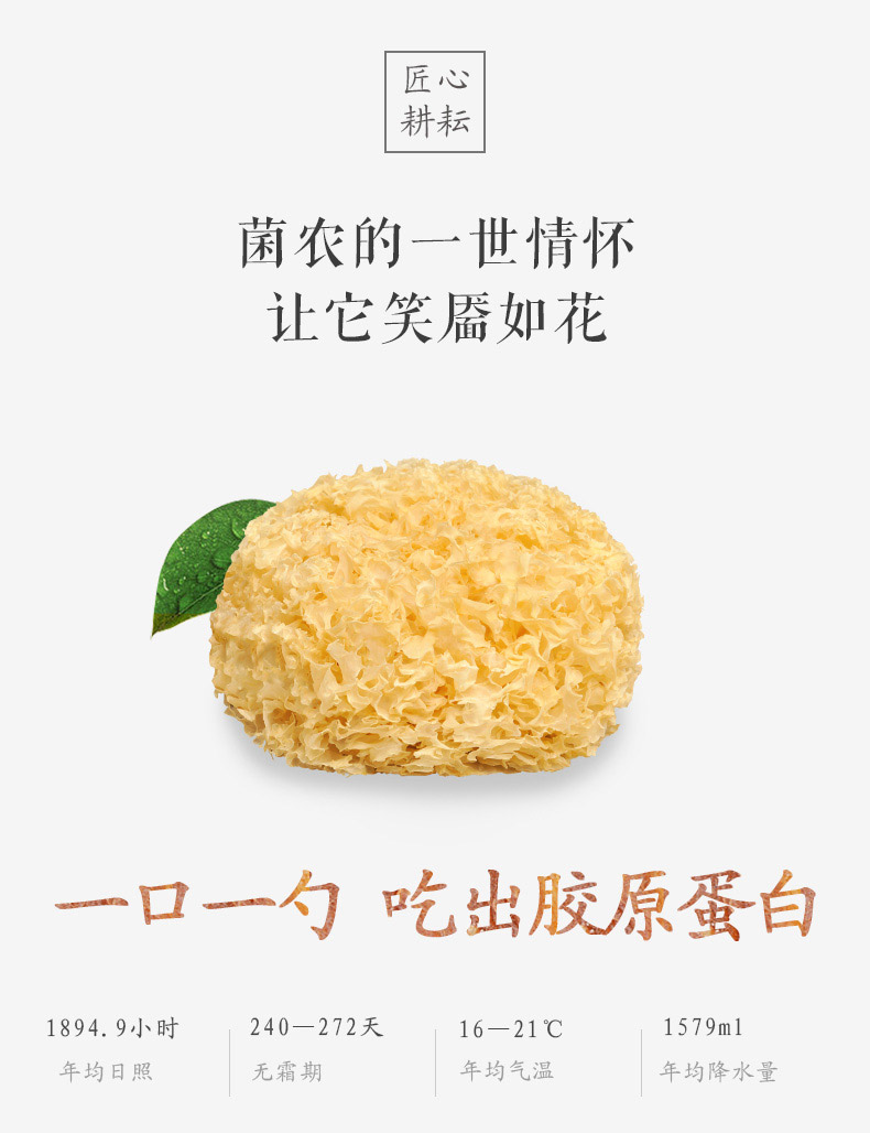 【方家铺子_古田银耳160g*2袋】农家干货雪耳白木耳易出胶无硫熏