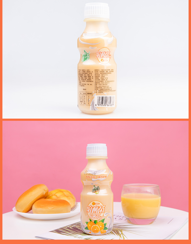 【椰芝岛 甜橙味338mlx12瓶】胃动力乳酸菌饮品酸奶牛奶饮料