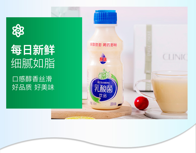 【椰汁岛 乳酸菌340mlx12瓶】原味  乳酸菌饮品儿童牛奶酸奶饮料整箱