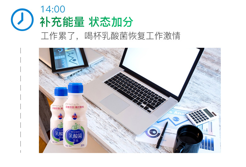 【椰汁岛 乳酸菌340mlx12瓶】原味  乳酸菌饮品儿童牛奶酸奶饮料整箱