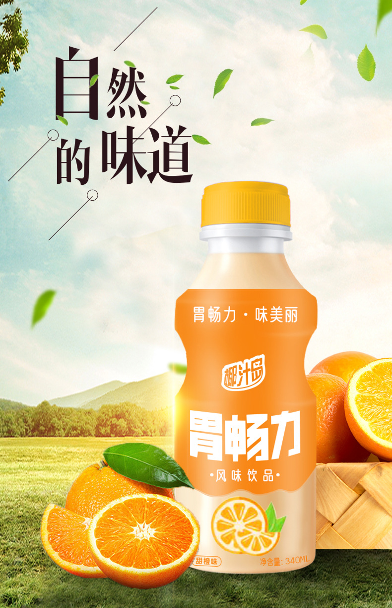 【椰汁岛 甜橙味340ml*12瓶】乳酸菌胃早动力酸奶牛奶饮料