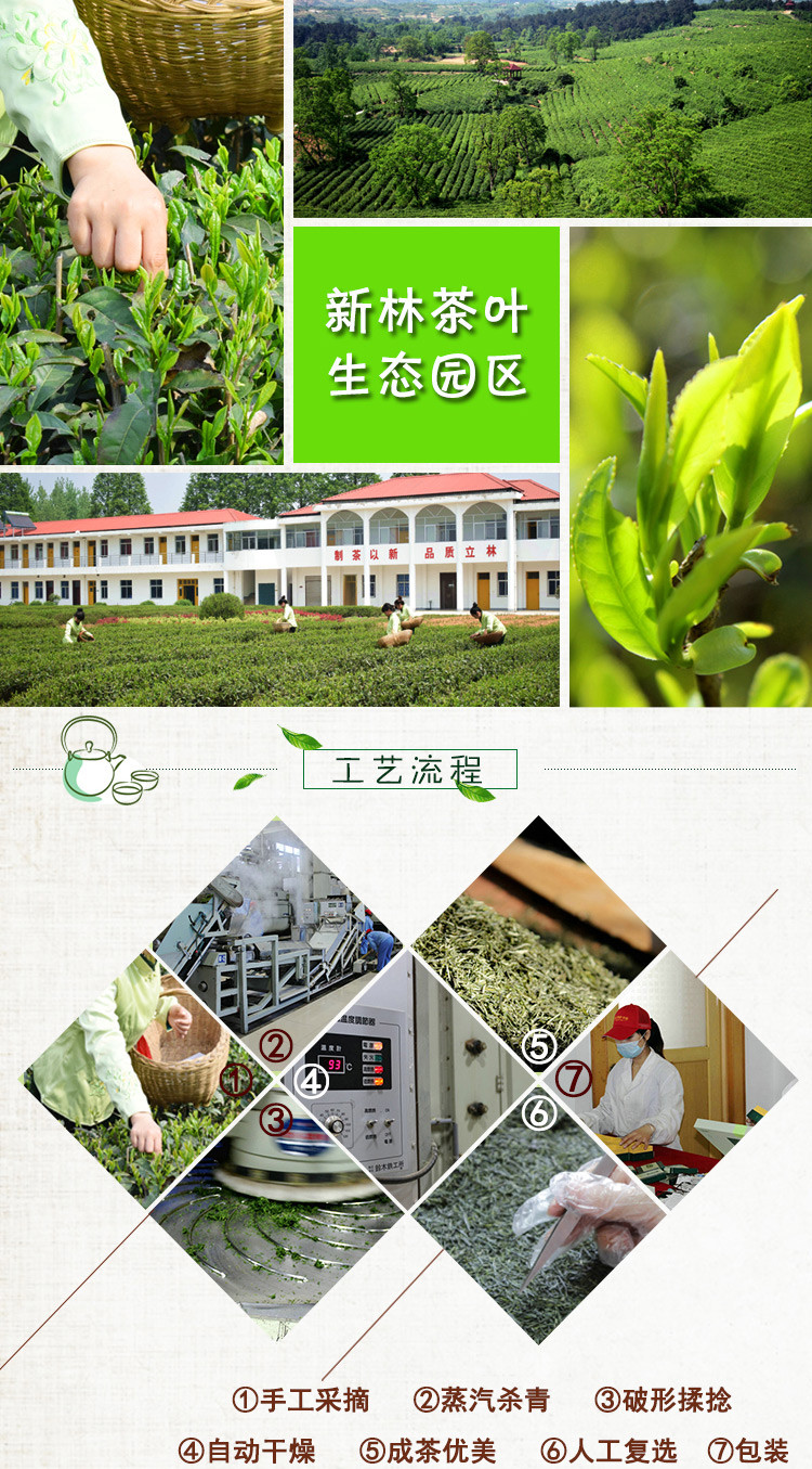 新林玉露蒸青绿茶信阳毛尖100g茶叶真空包装2017年明前茶