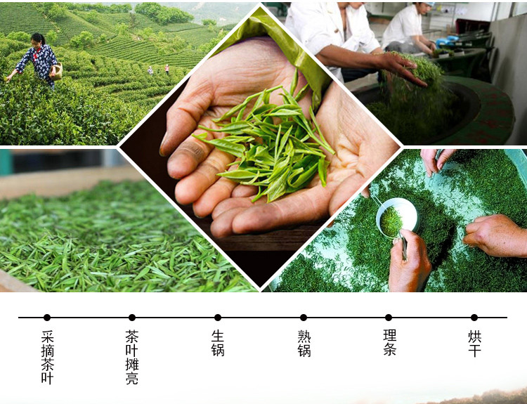 【信阳邮约会】志游信阳红茶 分享款 精选高山云雾茶 125g精致铁盒 正宗浉河港黑龙潭 自有茶山 手