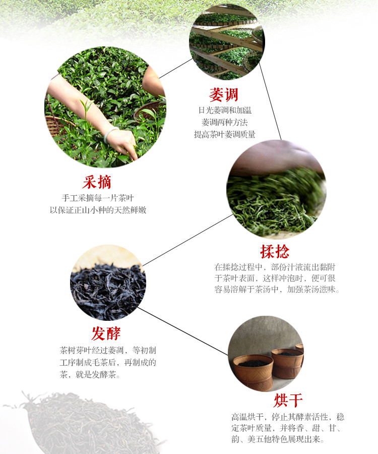 【信阳邮约会】志游信阳红茶 分享款 精选高山云雾茶 125g精致铁盒 正宗浉河港黑龙潭 自有茶山 手