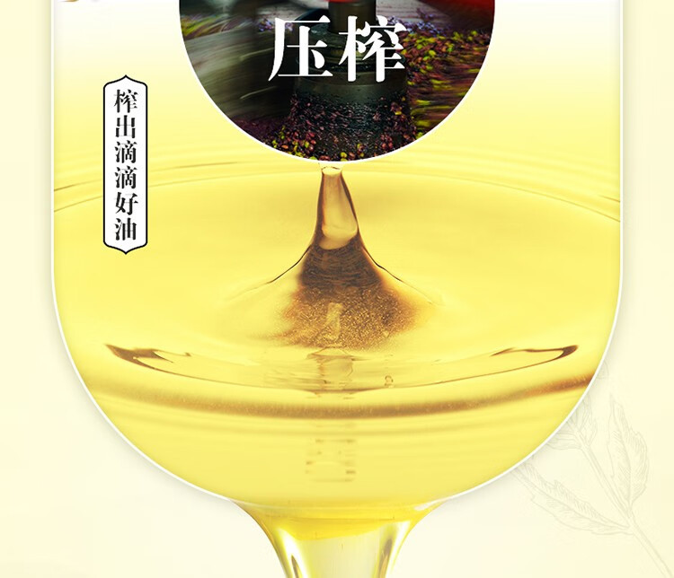 金龙鱼 【邵阳逢八会员日金融客维】洞口金龙鱼菜籽油1.8L/瓶