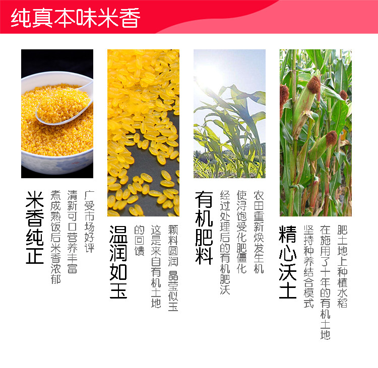 三河站 【吉林邮政】【东北特产】玉米米 500g