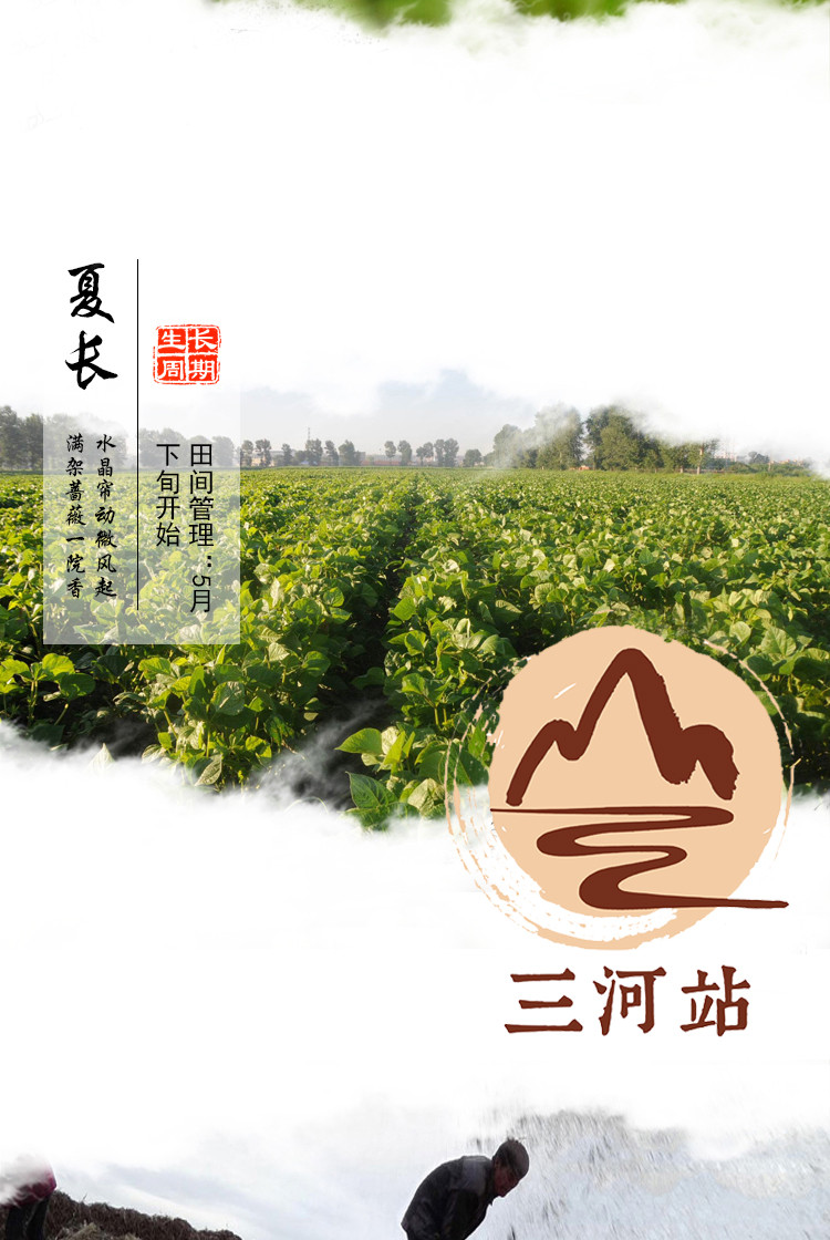 【东北特产】【吉林三河站】绿豆400g/袋【邮乐蛟河扶贫馆】【积分】