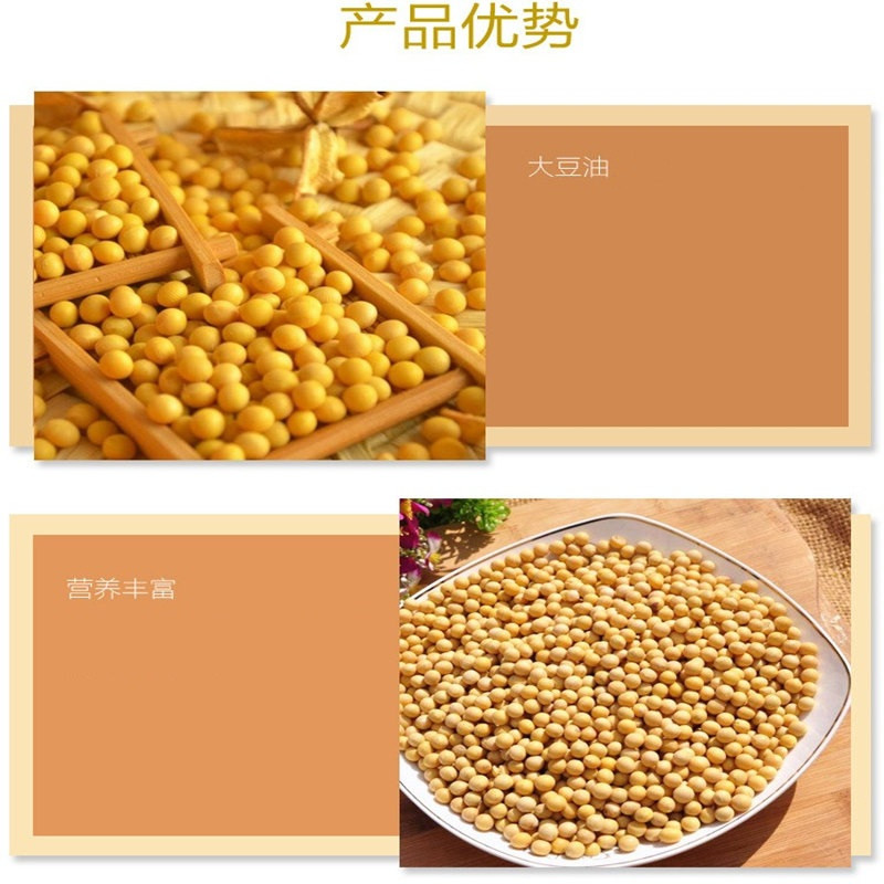 【东北特产】【吉林三河站】非转基因三级笨榨大豆油5L【邮乐蛟河扶贫馆】