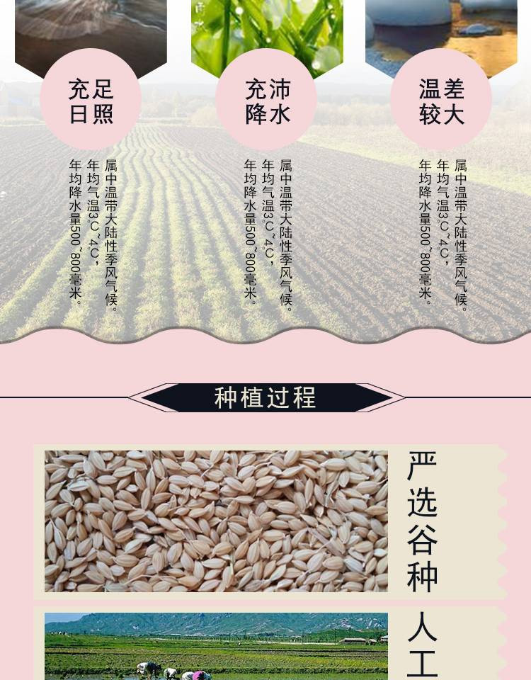 三河站 【领券10元优惠】福稻米2.5kg 东北大米