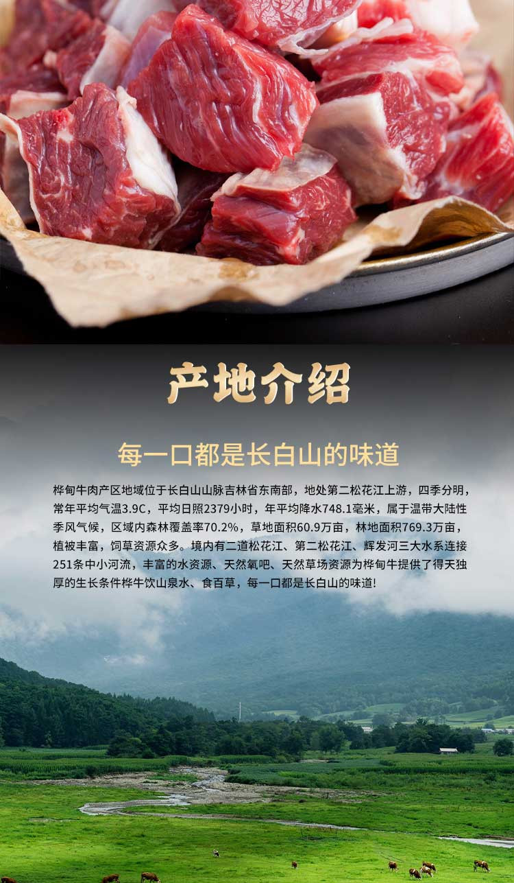 桦牛 牛肉营养炖400g*3袋