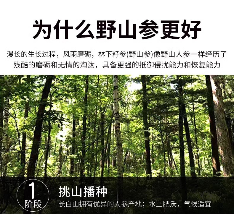 邮政农品 东北人参 林下参20g【十五年以上】礼盒装